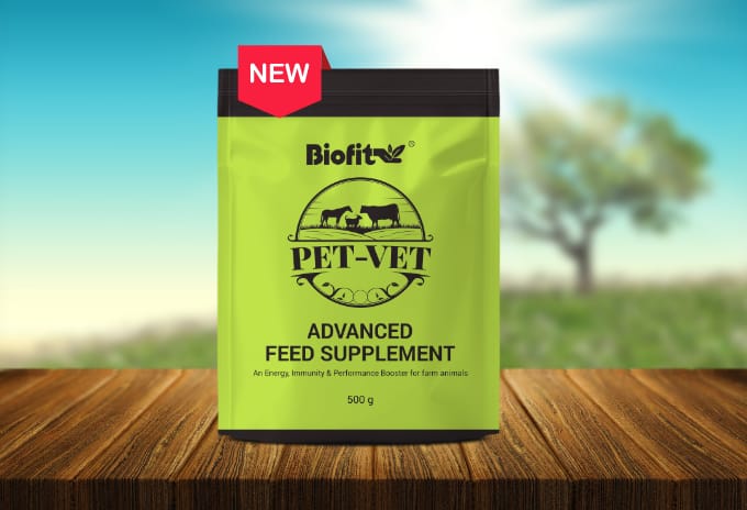 Animal care Pet Vet Advanced Feed Supplement 500Gm